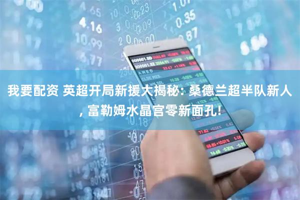 我要配资 英超开局新援大揭秘: 桑德兰超半队新人, 富勒姆水晶宫零新面孔!