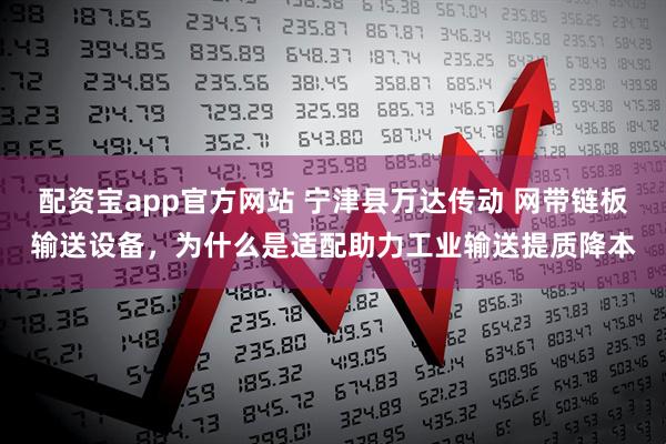 配资宝app官方网站 宁津县万达传动 网带链板输送设备，为什么是适配助力工业输送提质降本