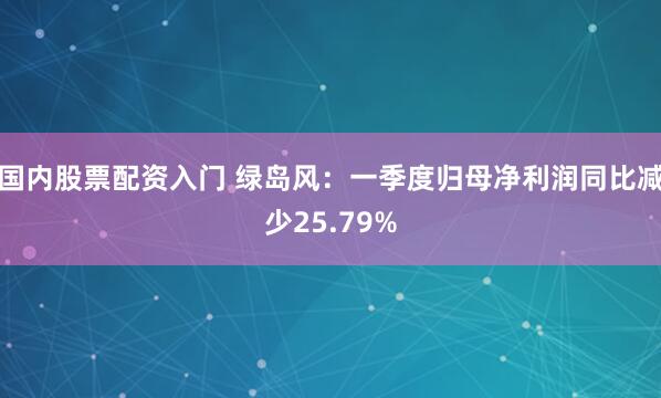 国内股票配资入门 绿岛风：一季度归母净利润同比减少25.79%
